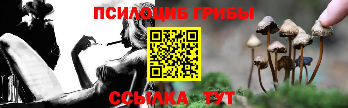 Киров  Псилоцибиновые грибы MAGIC MUSHROOMS  Галлюциногенные грибы мицелий  Вход с VPN 